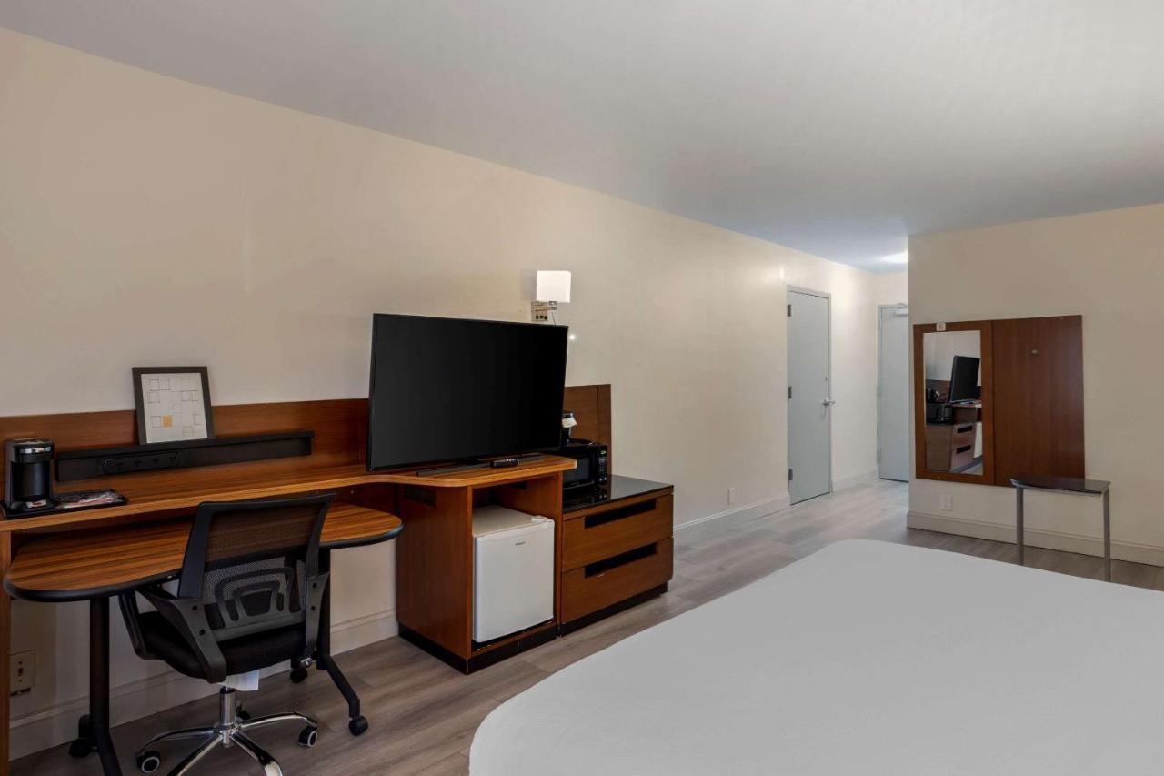 Comfort Inn & Suites Mt Laurel-Philadelphia Mount Laurel Exteriör bild